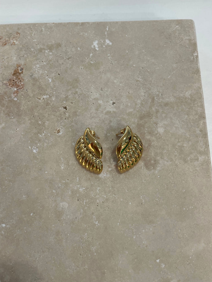 Shell Earrings